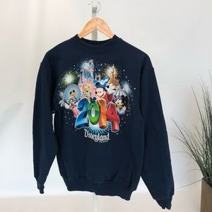 2014 Disneyland Sweater/Jumper